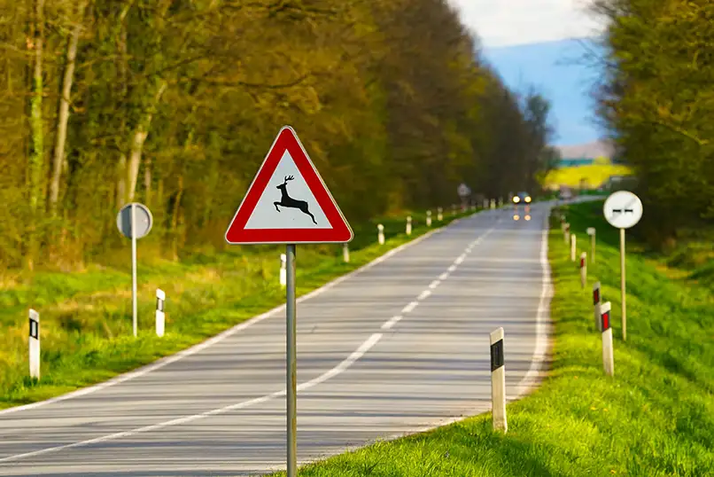 Najem Kaj morate vedeti pred potovanjem v Slovenijo? 5 v Sloveniji od € /dan to know before travellig to Slovenia